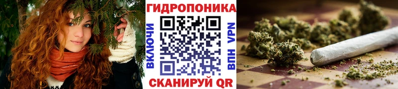 как найти наркотики  это наркотические препараты  Марихуана конопля  Сенгилей 